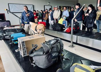Operativo antidrogas en aeropuerto de Balmaceda cuenta con participación de diversas instituciones