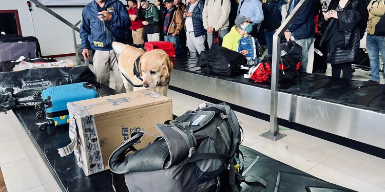 Operativo antidrogas en aeropuerto de Balmaceda cuenta con participación de diversas instituciones