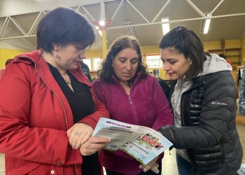 Resultados Fortalece Mipe Aysén: Gobierno Regional otorga plazo para rectificar postulaciones no admitidas