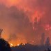 Incendios Forestales en el centro-sur: 5 personas fallecidas en Santa Juana y miles de hectáreas arrasadas por el fuego