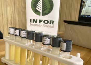 Estudio de INFOR permitirá caracterizar y diferenciar las mieles de Aysén 