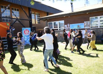 Programa Red Cultura: Concejo municipal de Cochrane aprueba plan de gestión para el impulso de la cultura local y las artes
