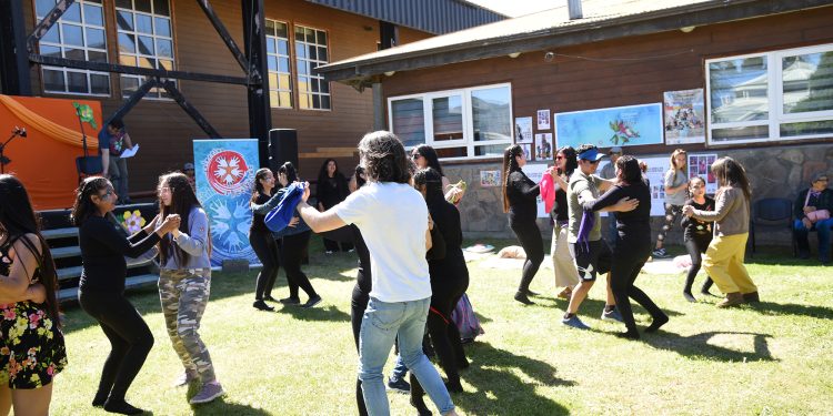 Programa Red Cultura: Concejo municipal de Cochrane aprueba plan de gestión para el impulso de la cultura local y las artes