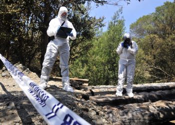 Incendios Forestales: Policía de Investigaciones entrega recomendaciones para evitarlos o qué hacer frente a éstos
