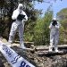 Incendios Forestales: Policía de Investigaciones entrega recomendaciones para evitarlos o qué hacer frente a éstos