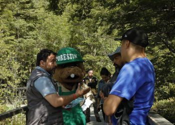Influenza Aviar: Vocero subrogante de Gobierno Aysén hace llamado a evitar contacto con aves silvestres y animales marinos