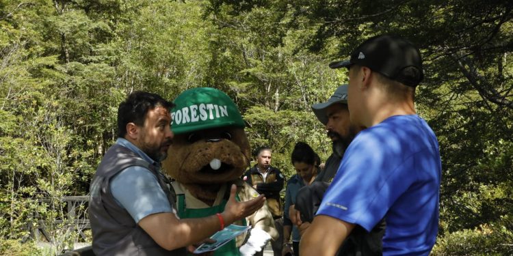 Influenza Aviar: Vocero subrogante de Gobierno Aysén hace llamado a evitar contacto con aves silvestres y animales marinos