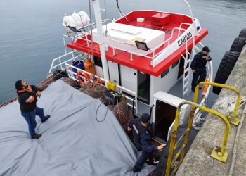 Armada y Sernapesca incautan más de 122 toneladas de luga desde embarcaciones provenientes de la región de Los Lagos