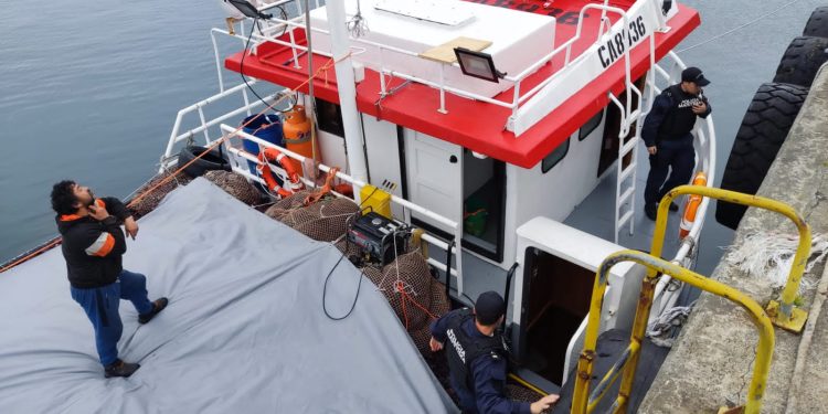 Armada y Sernapesca incautan más de 122 toneladas de luga desde embarcaciones provenientes de la región de Los Lagos