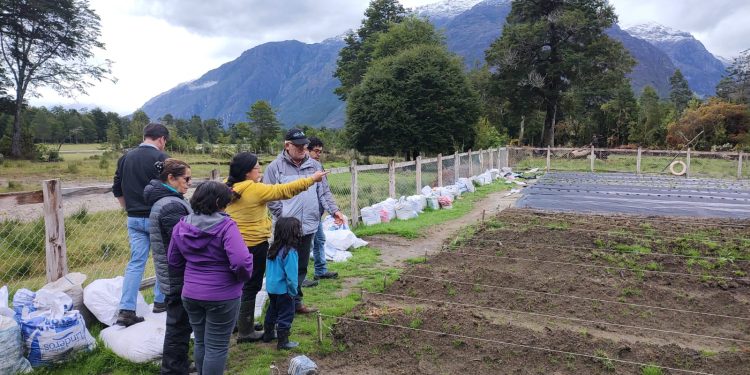 Prodesal: INDAP refuerza el sector frutícola en Tortel mediante capacitación sobre frutillas