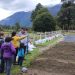 Prodesal: INDAP refuerza el sector frutícola en Tortel mediante capacitación sobre frutillas