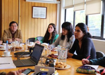 Hantavirus: Se continúa reforzando el trabajo intersectorial para prevenir contagios en la región de Aysén