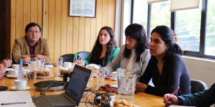 Hantavirus: Se continúa reforzando el trabajo intersectorial para prevenir contagios en la región de Aysén