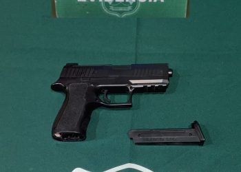 GOPE y COP de Carabineros se movilizan para detener a sujeto por amenazas con pistola en Coyhaique
