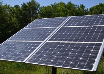 Falta de mantención a sistemas fotovoltaicos mantiene a hogares rurales sin electricidad en Cochrane, Tortel y Villa O’Higgins, denuncia concejal