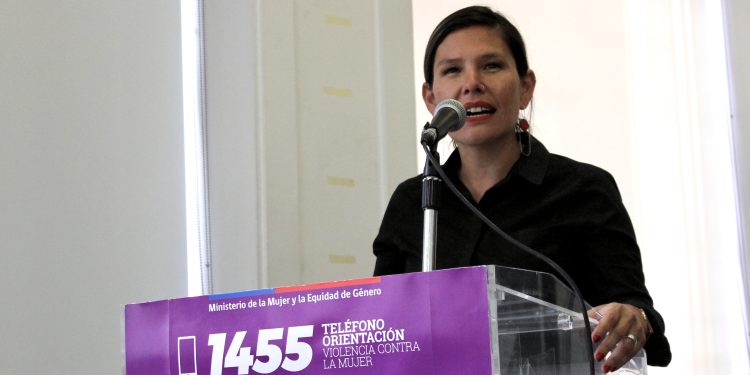 SernamEG se querella por femicidio tentado en Chile Chico