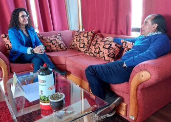 Seremi Desarrollo Social y Familia Aysén expuso sobre proyectos de inversión de la cartera frente al Consejo Regional y capacitó a personal municipal de Chile Chico