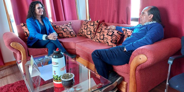 Seremi Desarrollo Social y Familia Aysén expuso sobre proyectos de inversión de la cartera frente al Consejo Regional y capacitó a personal municipal de Chile Chico