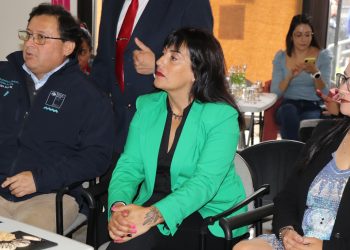 Vocera de Gobierno Aysén lamenta votación que rechazó la idea de legislar la Reforma Tributaria: «Una mala noticia para el país y nuestra región»