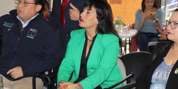 Vocera de Gobierno Aysén lamenta votación que rechazó la idea de legislar la Reforma Tributaria: «Una mala noticia para el país y nuestra región»