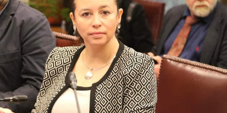 Senadora Órdenes buscará promover acuerdos transversales para nueva Reforma Tributaria que garantice PGU en 250 mil pesos