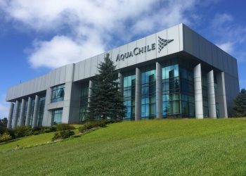AquaChile abrirá postulaciones para su Fondo Concursable 2023