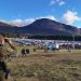 Expo y Festival Patagonia: 11 personas detenidas por diversos delitos