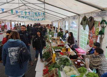 Expo Patagonia Coyhaique: 40 productoras/es de diferentes comunas regionales participaron bajo el alero de la Seremi de Agricultura Aysén