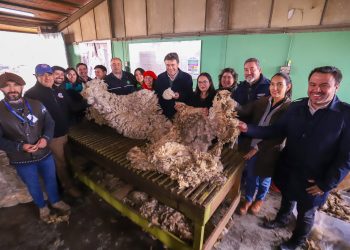 Ministerio de Agricultura conforma mesa de desarrollo ovino en región de Aysén 