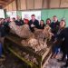Ministerio de Agricultura conforma mesa de desarrollo ovino en región de Aysén