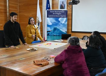 Villa O’Higgins: Servicio País realiza consulta colectiva sobre necesidades y problemáticas en colaboración con la comunidad