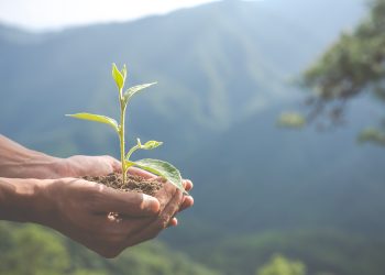 Corfo busca nuevas soluciones tecnológicas e innovadoras para resolver desafíos sectoriales en Economía Circular