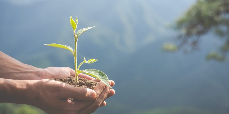 Corfo busca nuevas soluciones tecnológicas e innovadoras para resolver desafíos sectoriales en Economía Circular