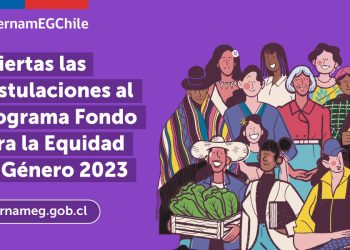 Fondo para la Equidad de Género 2023: SernamEG Aysén realiza el llamado a postular hasta el 29 de mayo