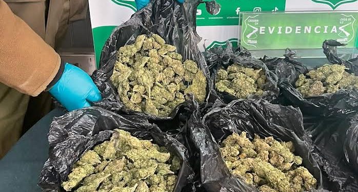 Fiscalía y OS-7 de Carabineros desbaratan tráfico de droga por redes sociales en Coyhaique