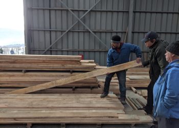 Programa de Corfo Aysén-UACh busca instalar nuevas tecnologías e innovación en pymes de la industria del aserrío