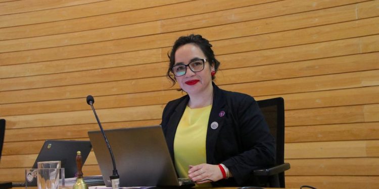 Gobernadora Andrea Macías sobre proyecto de delegados presidenciales: “Una iniciativa de este tipo debemos conversarla de manera directa con el Presidente de la República”