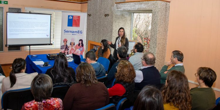 SernamEG presenta su oferta a la Mesa Intersectorial Macro Zona Sur Austral