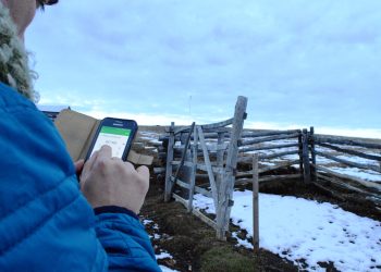 Gobierno impulsa proyecto de ley «Internet como servicio público» que ayudaría a mejorar conectividad digital en toda la región de Aysén