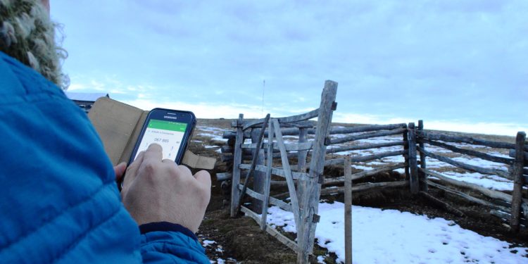 Gobierno impulsa proyecto de ley «Internet como servicio público» que ayudaría a mejorar conectividad digital en toda la región de Aysén