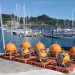 Científicos de Chile y Japón concluyen travesía para instalar sismógrafos submarinos en la unión de tres placas tectónicas