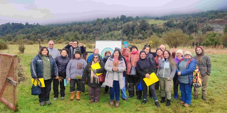 Escuela del Campesino de Municipio de Aysén realiza capacitación sobre “Bordes Florales”.