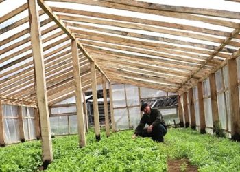 FIA abre Convocatoria Nacional de Proyectos de Innovación para el Agro 2023.