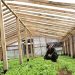 FIA abre Convocatoria Nacional de Proyectos de Innovación para el Agro 2023.