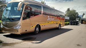 https://www.horariodebuses.cl/