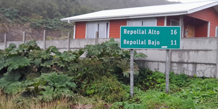 Conectividad digital: Se mejora calidad de las telecomunicaciones en Repollal Bajo, comuna de Las Guaitecas