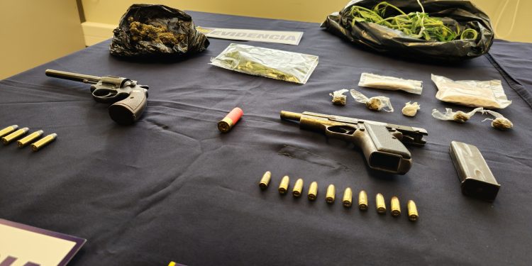 PDI detiene a sujeto por tráfico de diversas drogas e incauta armas de fuego y munición en Coyhaique