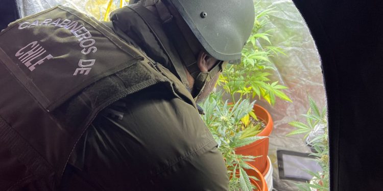 Equipo multidisciplinario de Carabineros realiza intervenciones en Chile Chico y Puerto Cisnes por núcleos de venta de drogas