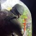 Equipo multidisciplinario de Carabineros realiza intervenciones en Chile Chico y Puerto Cisnes por núcleos de venta de drogas