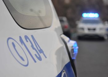 PDI investiga dos casos de maltrato animal en la provincia de Aysén